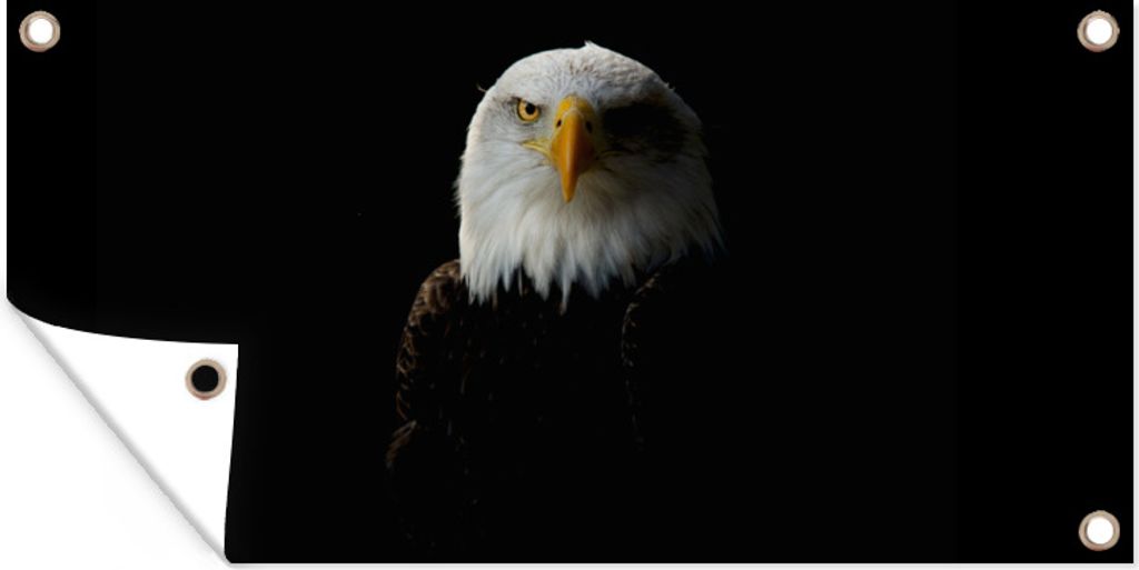 MuchoWow 80x40 cm Outdoor-Poster Gartendeko Sichtschutz Garten Poster für den Garten Ein Porträt eines Weißkopfseeadlers