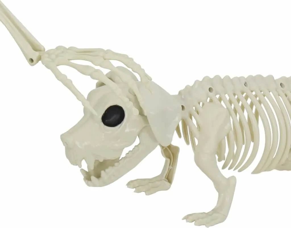 Squelette Halloween 2 pcs robuste en polypropylène pour une déco durable