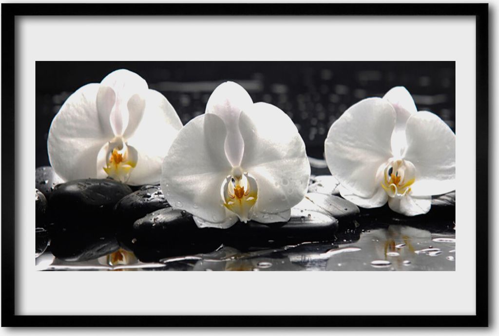 Bild 60x40 MDF-Rahmen Wandkunst Weiße Orchidee Blume
