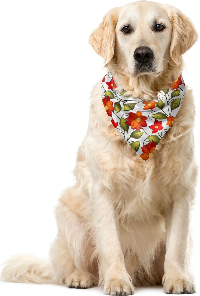 ABAKUHAUS Blumen Haustier Bandana, Boho Kräuter Lilien Natur, 40x40 cm, Orange Olive Grün Weiß