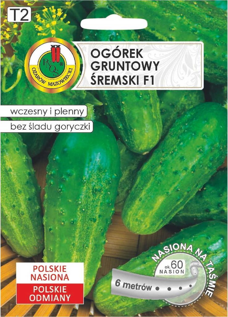Ogórek ŚREMSKI F1 60 Nasion na Taśmie 6m Wczesna odmiana do Zdjęcie produktu 