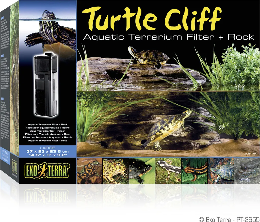 Éliminer l'Eau Trouble des Tortues avec le Rocher Filtrant Turtle Cliff