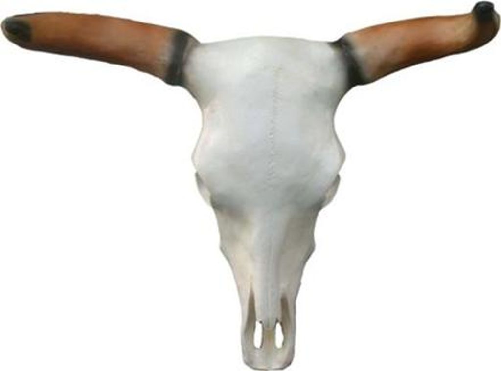 Bullenschädel Stierkopf Wand Skulpturen Höhe 64 cm Deko Figur Wand Dekoration