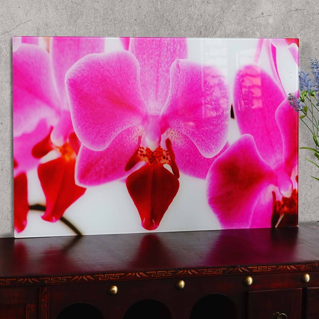 Glasbild T117, Wandbild Poster Motiv, 40x60cm Orchidee