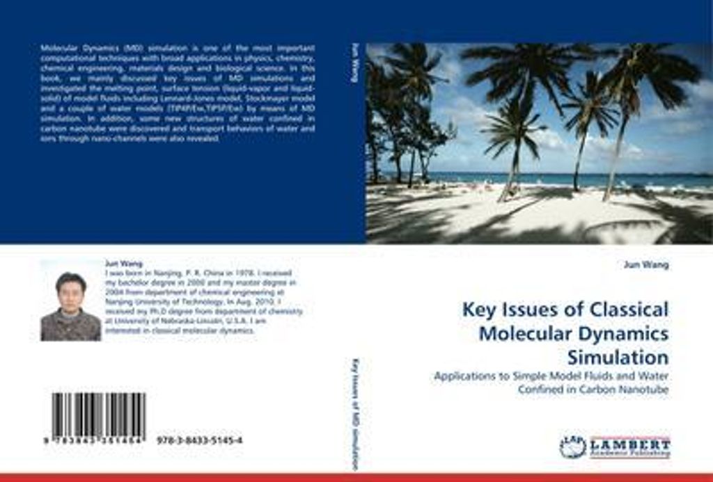 Key Issues of Classical Molecular Dynamics Simulation