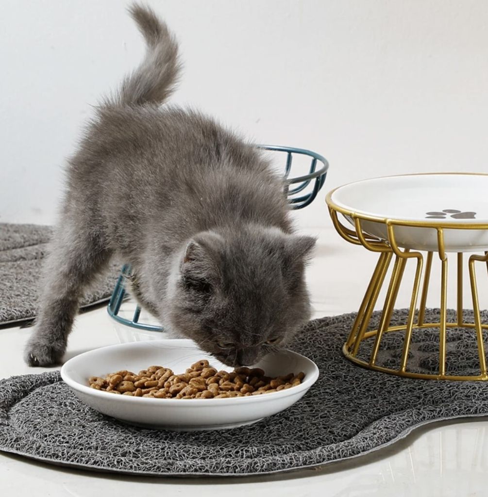 Tappetino Per Cibo Per Animali, Impermeabile E Antiscivolo Adatto A Cani E Gatti Grigio 39 59 Cm 97155396 Tappetino Per Cibo Per Animali, Impermeabile E Antiscivolo Adatto A Cani E Gatti Grigio 39 59 Cm 97155396