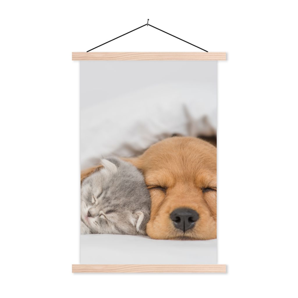 MuchoWow Textilposter Haustiere - Hund - Katze - Decke 60x90 cm mit holzfarbenen Rahmen - Textil