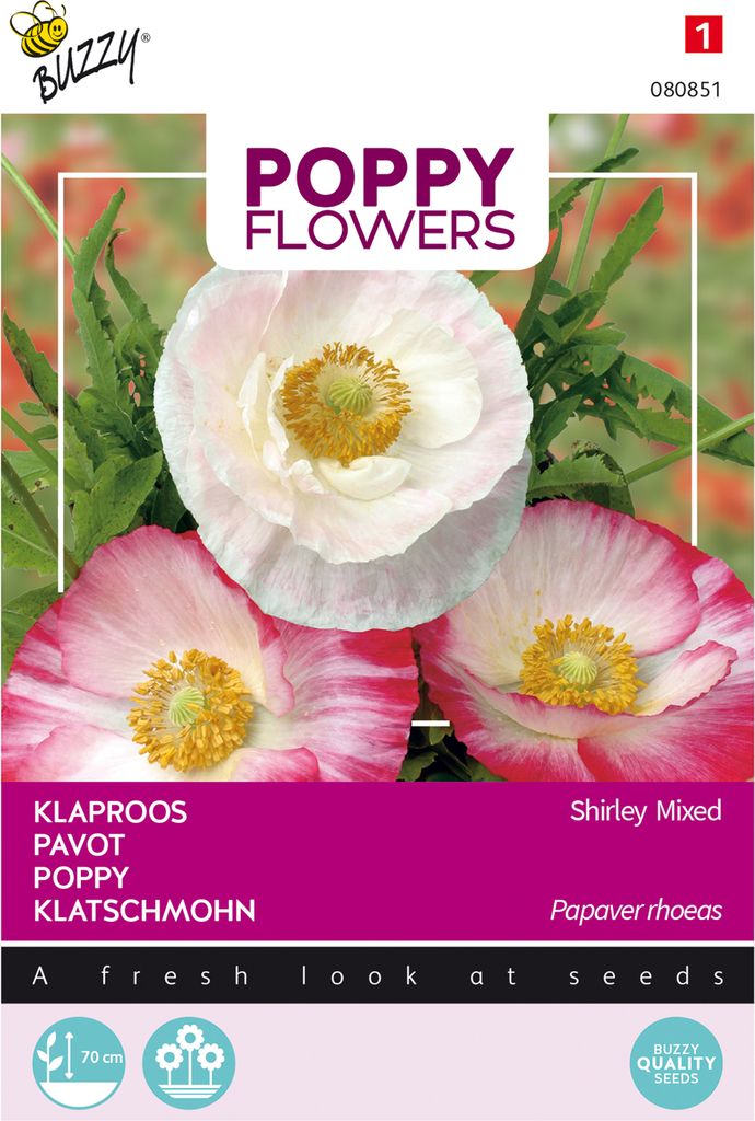 Buzzy Poppy Flowers Rhoeas Shirley Einfache Mischung Samen - Ca. 1 gr | Buzzy_080851