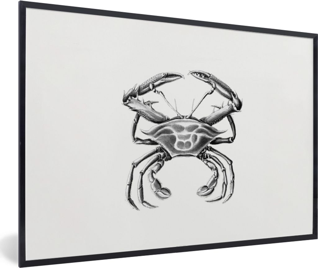 MuchoWow Gerahmtes Poster Ernst Haeckel - Jahrgang - Kunst - Krabbe 90x60 cm - Poster mit Schwarzem Bilderrahmen Wandposter Rahmen Foto Bilder - ...