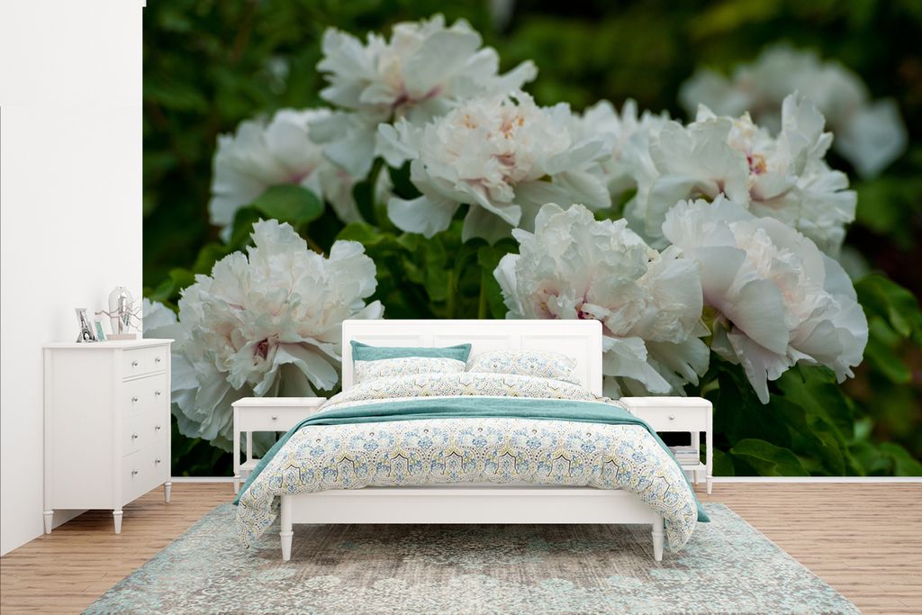 MuchoWow Fototapete für Wohnzimmer oder Schlafzimmer Wandtapete Vinyl Motivtapete Weiße Pfingstrosen im Frühling - 435x260 cm - Kinderzimmer