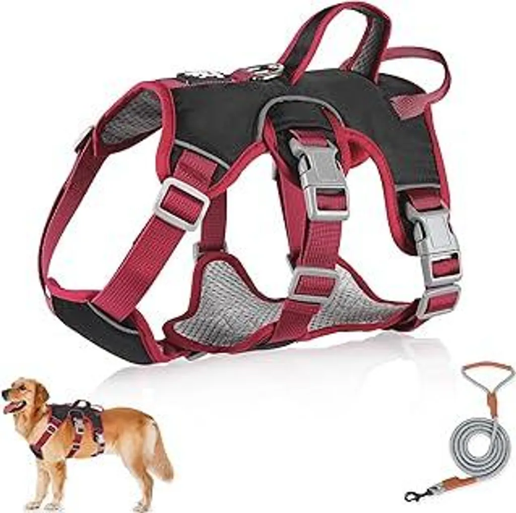 Set Imbracatura Cane Anti-Fuga e Guinzaglio S Nero | Sicurezza Totale