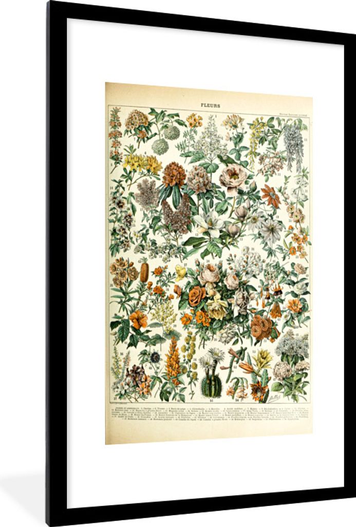 MuchoWow Gerahmtes Poster Blumen - Orange - Gelb 60x90 cm - Poster mit Schwarzem Bilderrahmen Wandposter Rahmen Foto Bilder - Dekoration - Wandpo...