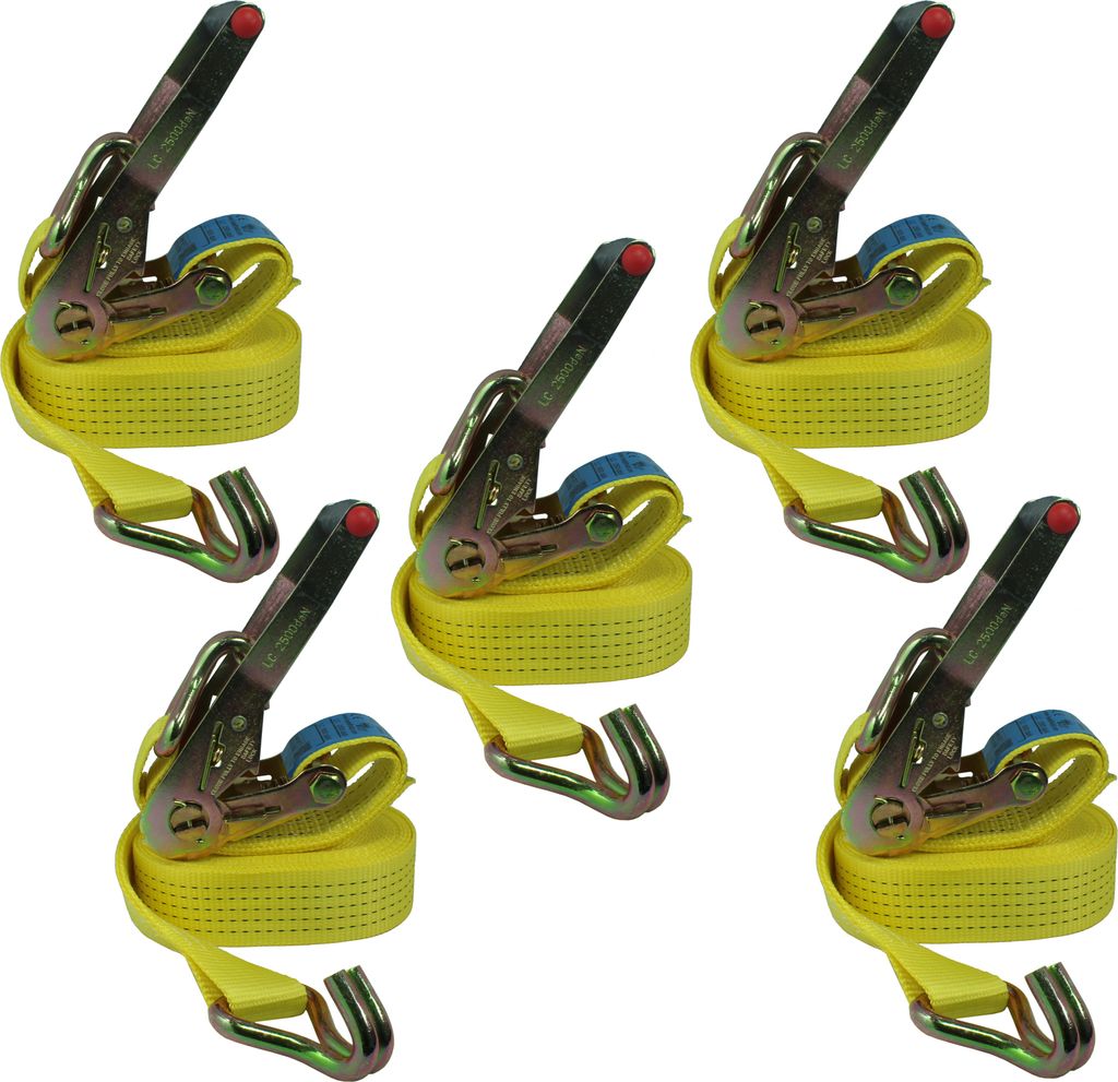 5x LKW Zurrgurte Spanngurt 5t 10m LC:2500 daN 5000 daN kg