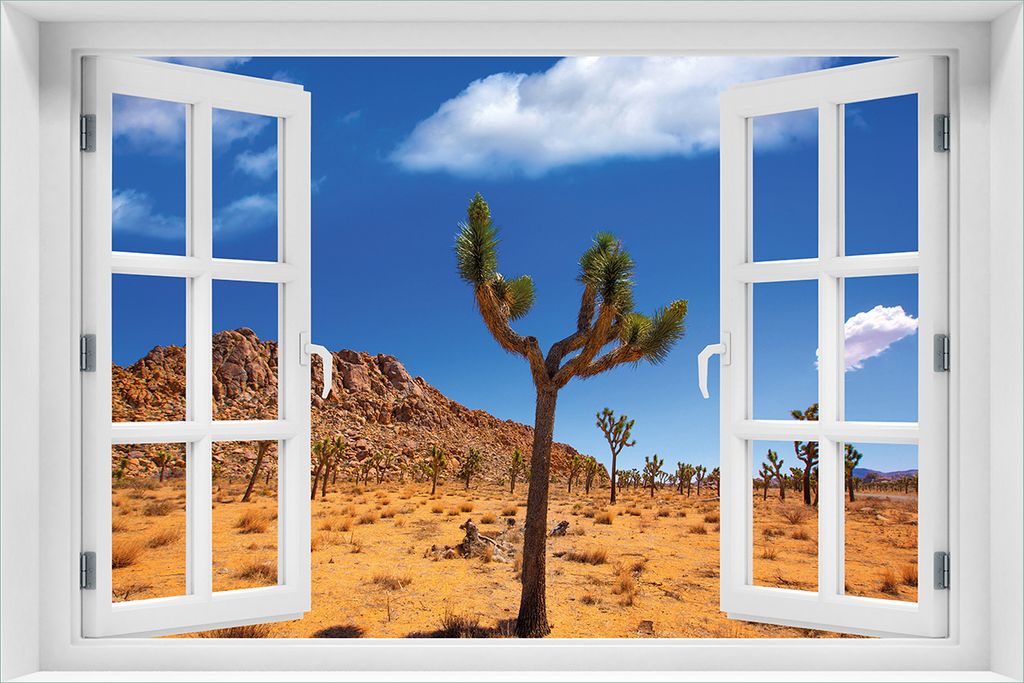 Wallario Poster mit Fenster-Illusion: Palmlilie im Nationalpark Yucca Valley Wüstenlandschaft, Größe: 61 x 91,5 cm (Maxiposter)