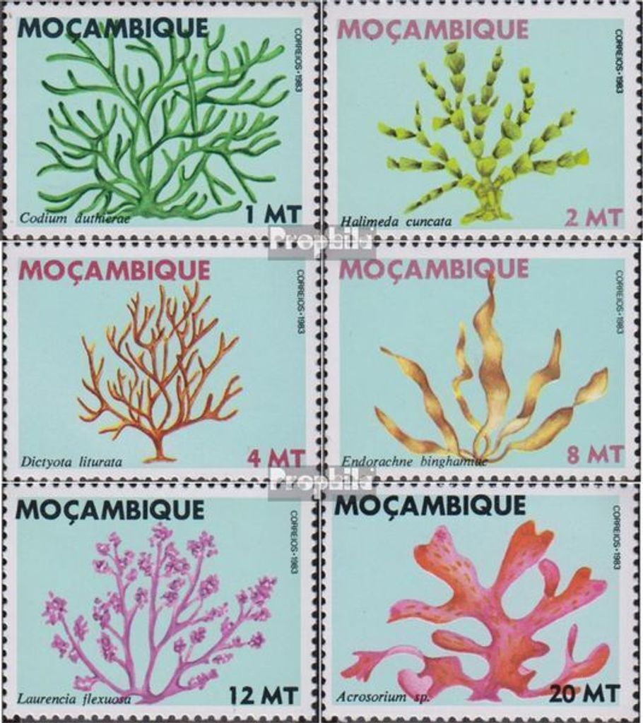 Briefmarken Mosambik 1983 Mi 922-927 (kompl.Ausg.) postfrisch Seetang