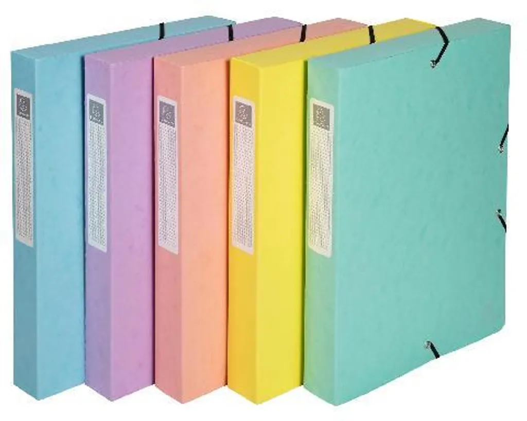 Boite de rangement A4 Aquarel Exacompta Dos 25mm en carton lot de 8