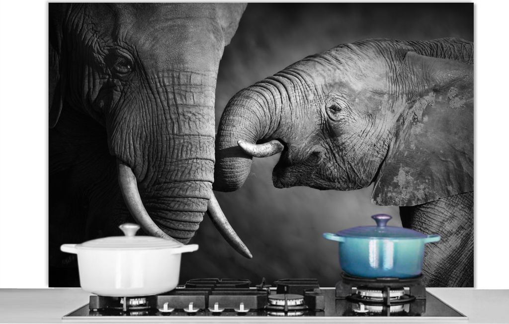 KitchenYeah Spritzschutz Küche - Küchenrückwand - Wandschutz für Herd und Spüle - Wildtiere - Elefant - Schwarz - Weiß - Porträt 120x80 -...