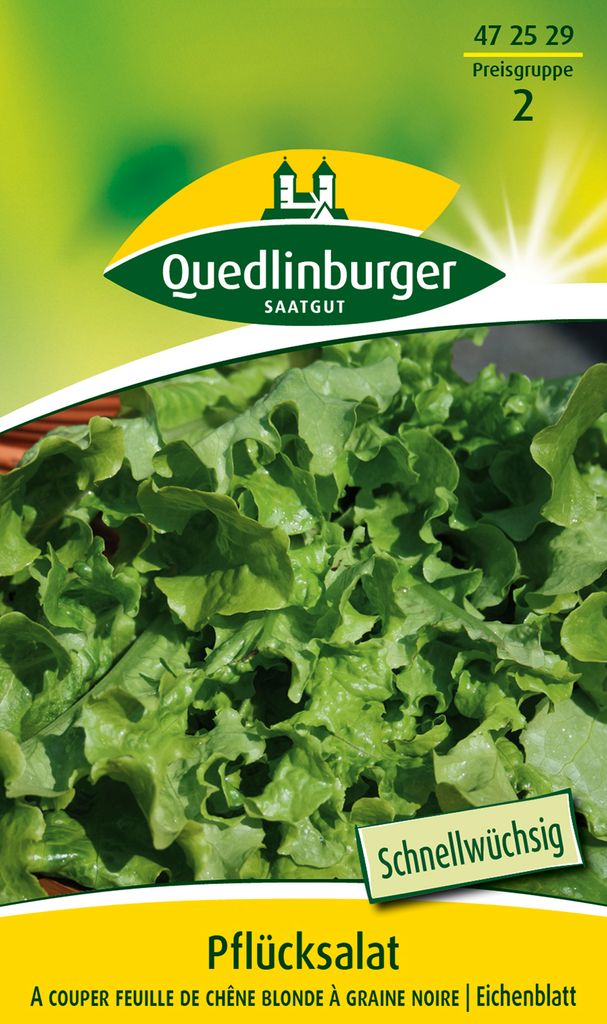 Quedlinburger Saatgut - Salat A couper feuille de chen - Samen - 472529