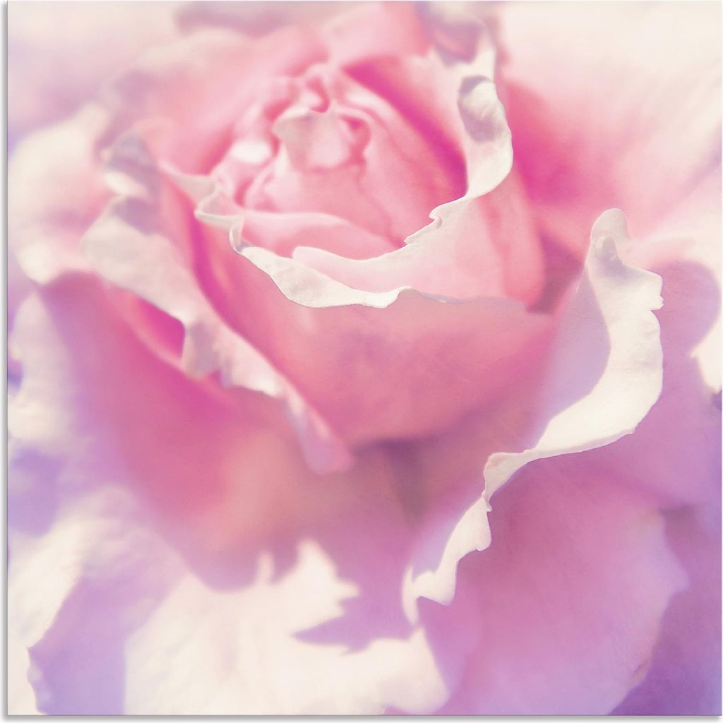 ARTland Wandbild Alu für Innen & Outdoor Rosa Größe: 30x30 cm