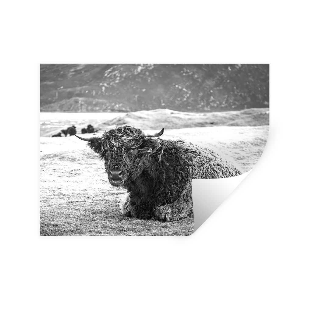 MuchoWow Wandtattoo Wandsticker Wandaufkleber Schottischer Highlander - Berg - Tiere 40x30 cm Selbstklebend und Repositionierbar - Faltenfrei