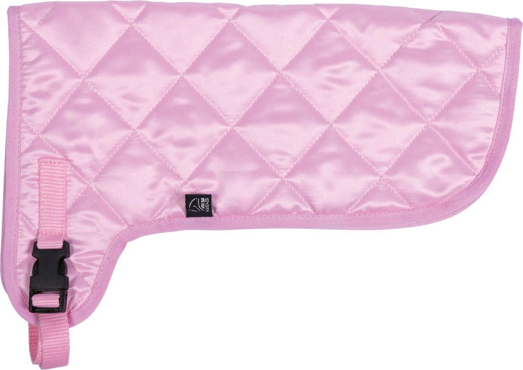 Decke -Hobby Horsing- dunkelblau Produktbild 6
