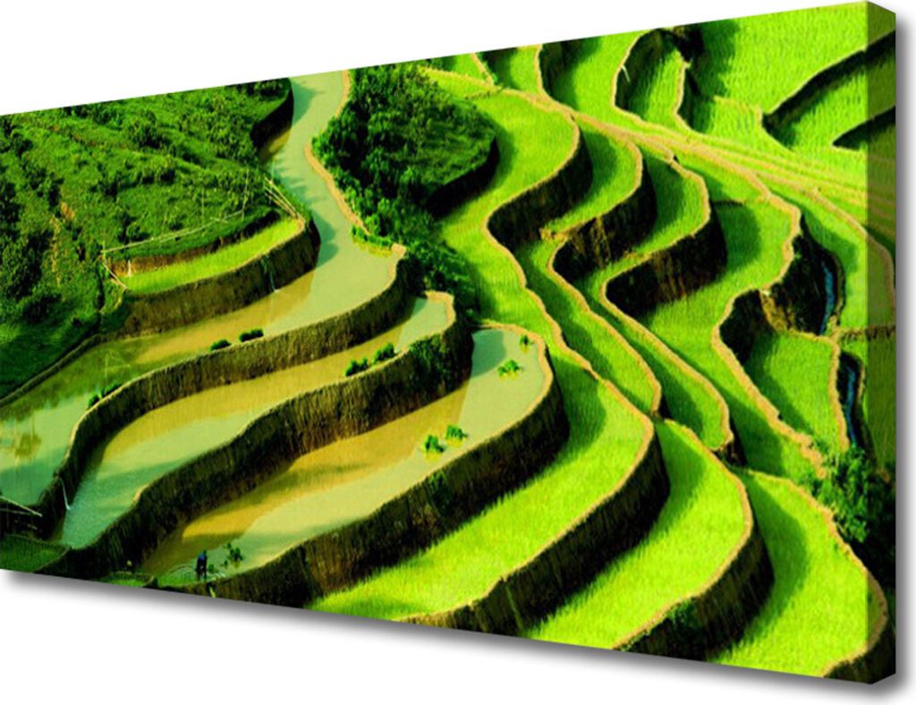 Tulup Leinwand-Bilder 100x50 Wandbild Canvas Kunstdruck Wald Natur