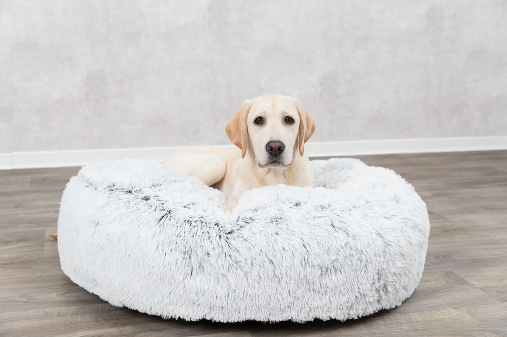 Trixie Kissen Harvey - rund - 80 cm Produktbild 2