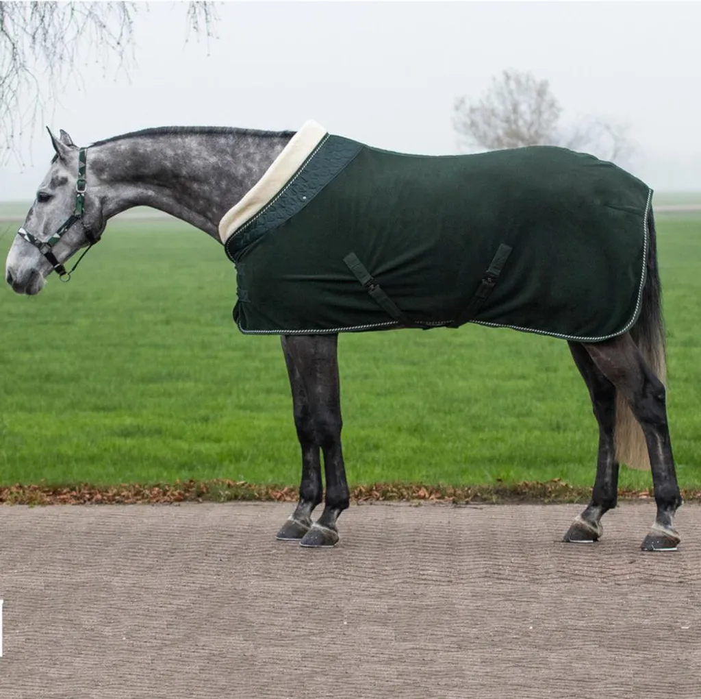 Tappeto QHP Brilliance Deep Forest | L'accessorio per Cavalli da Sogno