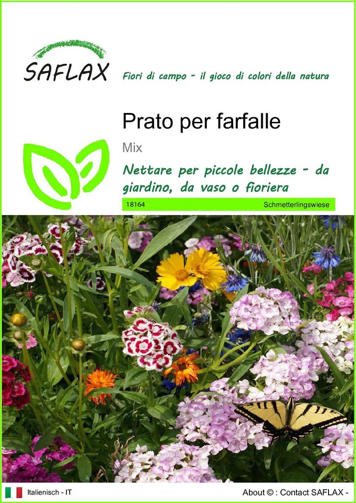 SAFLAX  - Prato per farfalle - 1000 semi - Mix Immagine del prodotto 