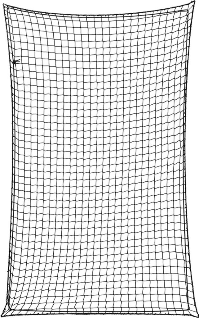Anhängernetz mit Gummiseil Schwarz 4x2,5 m PP