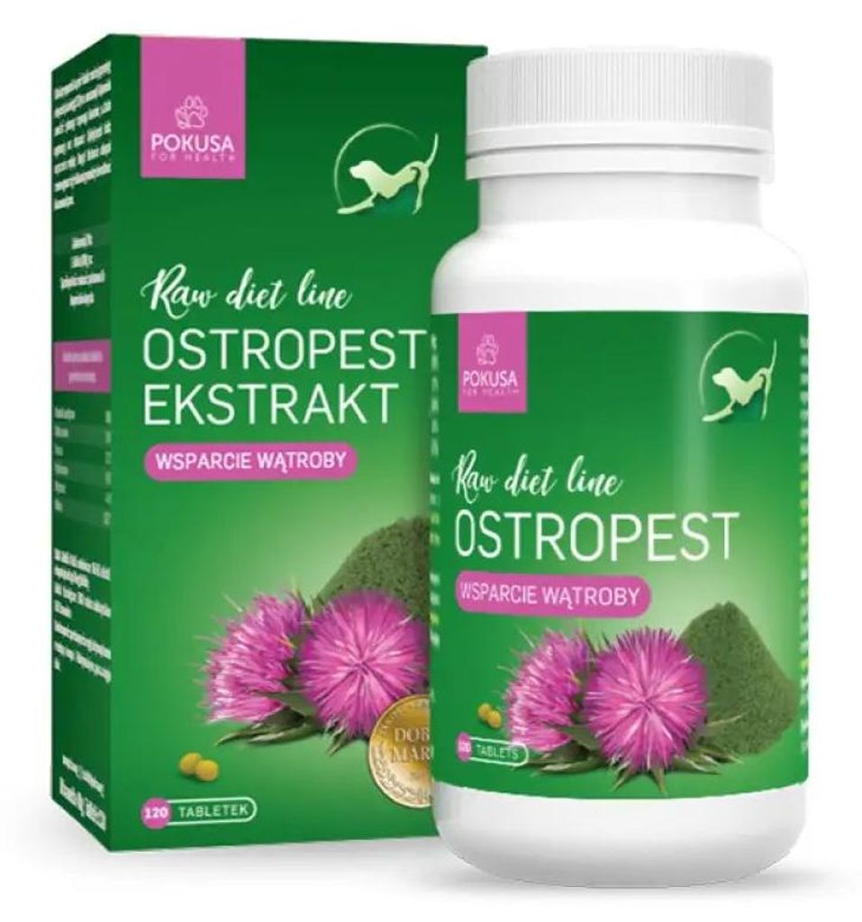 TEMPTATION - RAWDIETLINE Mariendistelextrakt - 120 Produktbild 