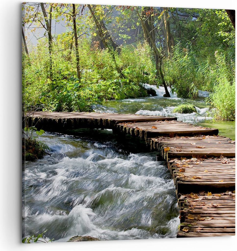 Bild auf Leinwand - Leinwandbild - Park natur grün bäume - 50x50cm - Wand Bild - Wanddeko - Leinwanddruck - Bilder - Kunstdruck - Wanddekoration ...