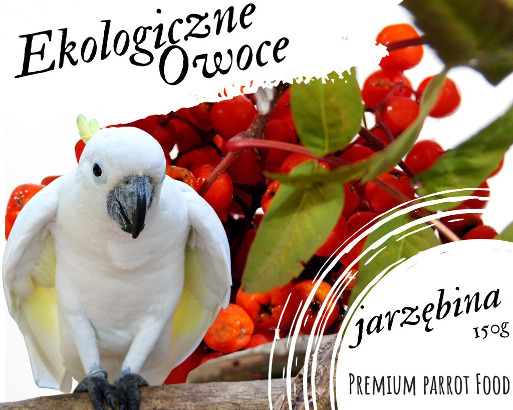 Premium Papageienfutter - Eberesche - für alle Papageien 150g