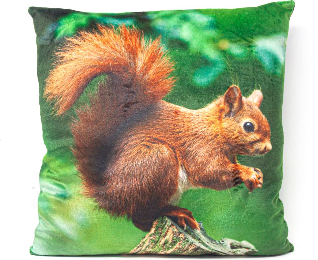 Stoffkissen - Eichhörnchen - 35x35