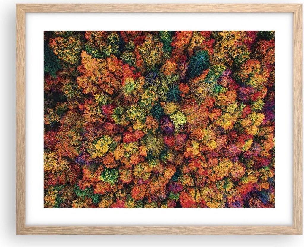 Gerahmtes Poster - Rahmen in heller Eiche - Herbst Perspektive Vogel - 50x40 cm - Wand Bild - Wanddeko - Wandbilder - Kunstposter - Wandposter - Bi...