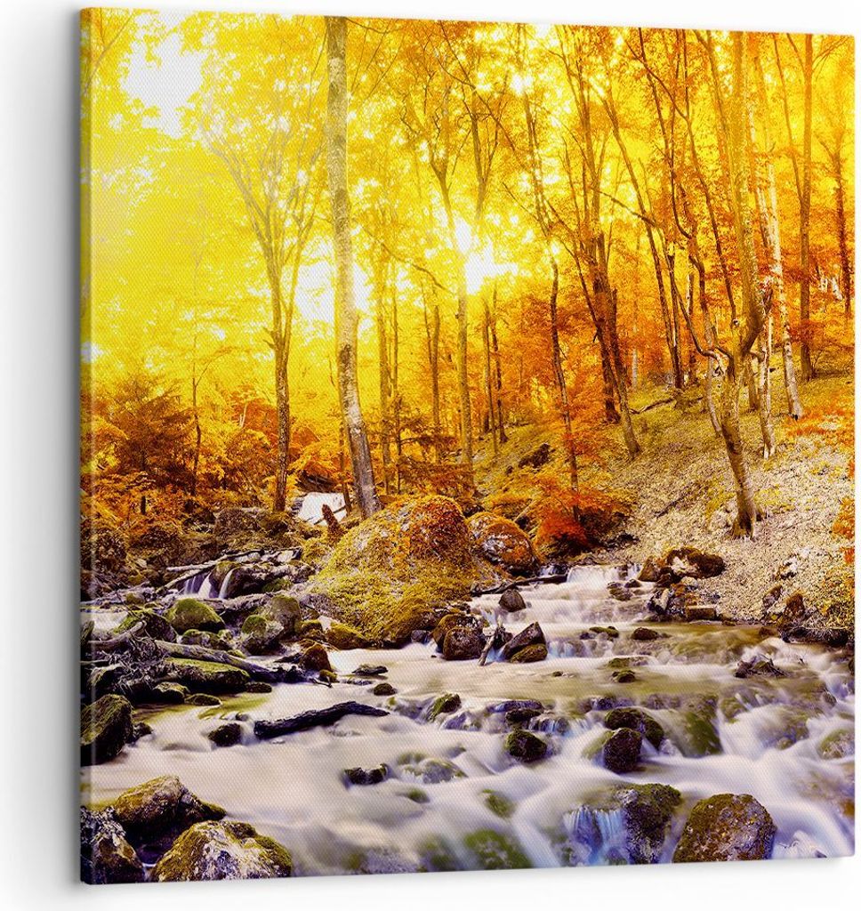 Bild auf Leinwand - Leinwandbild - Berge Bach Wasser - 60x60cm - Wand Bild - Wanddeko - Wandbilder - Leinwanddruck - Bilder - Kunstdruck - Wanddeko...