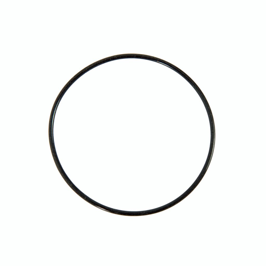 A black O-ring is shown against a white background.