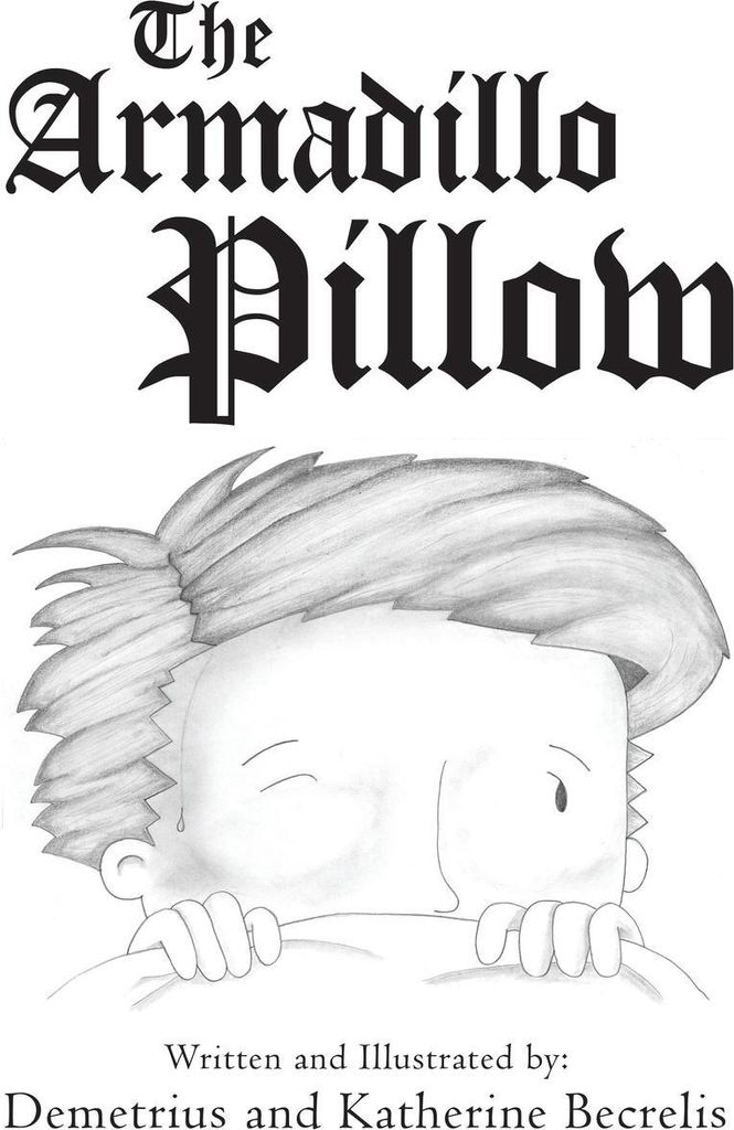 The Armadillo Pillow