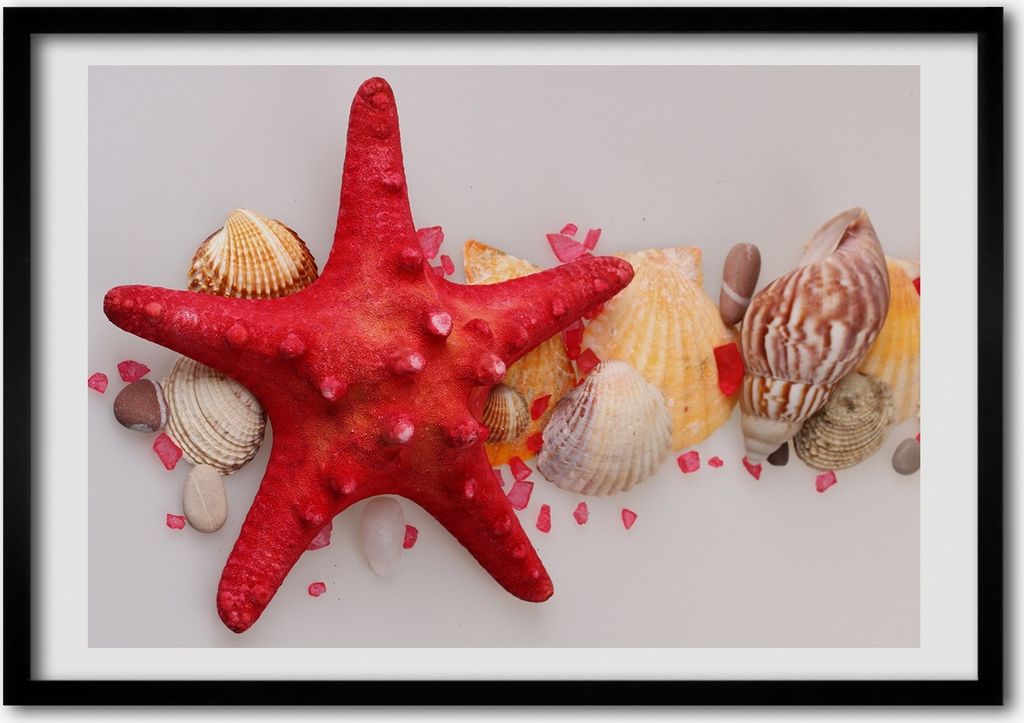Bild - Bilderrahmen - 100 cm x 70 cm - MDF - Rahmen - Foto - Wandkunst Seesterne und Muscheln