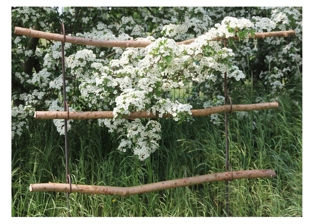 2 Stück Staudenhalter Beetbegrenzer Zaun Naturdeko DIY Produktbild 