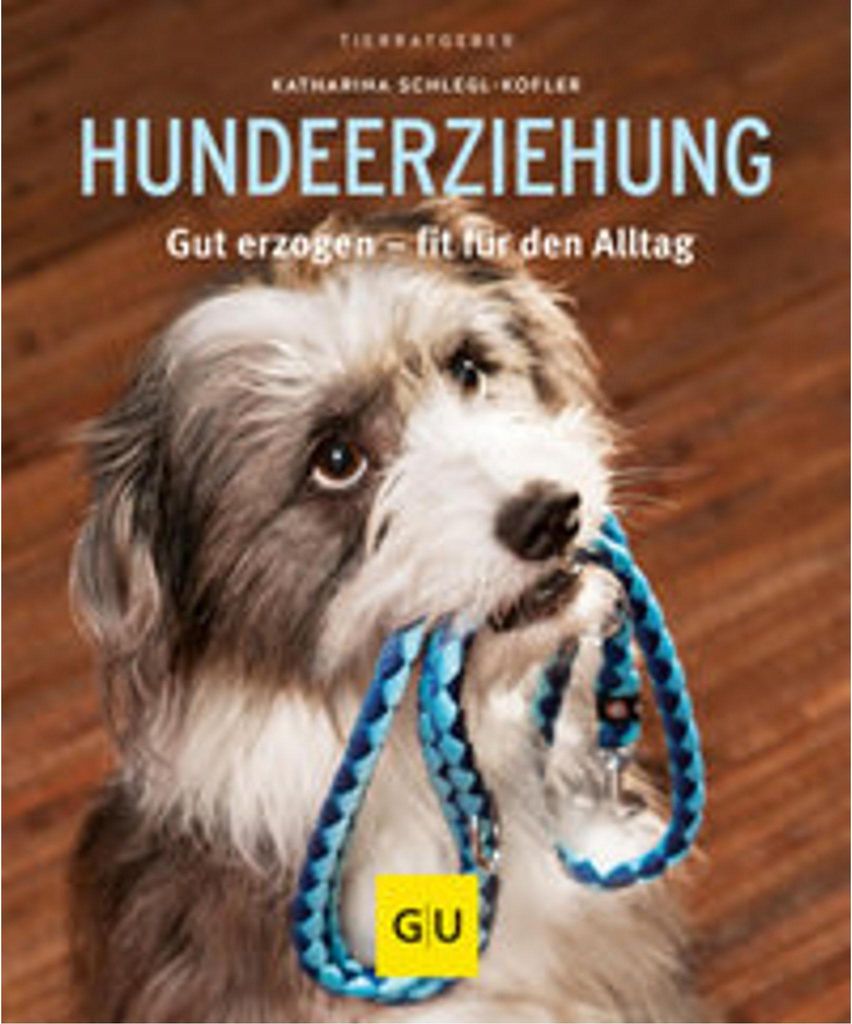 Hundeerziehung Produktbild 