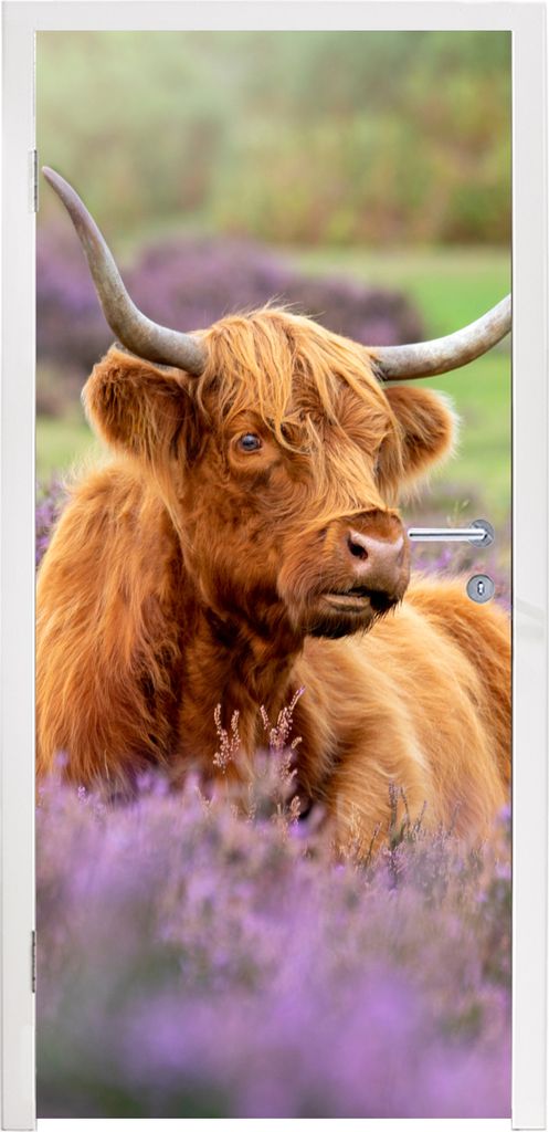 MuchoWow Türtapete Selbstklebende Türfolie Schottischer Highlander - Blumen - Licht 90x215 cm Türposter Türaufkleber Klebefolie Türklebefoli...