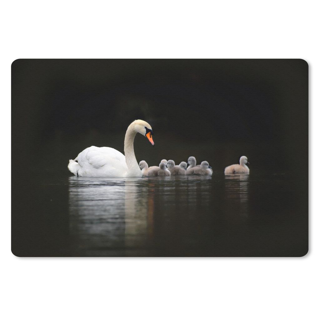MuchoWow Schreibtischunterlage Vögel - Schwan - Küken 60x40 cm - XXL Mauspad - Großes Mauspad