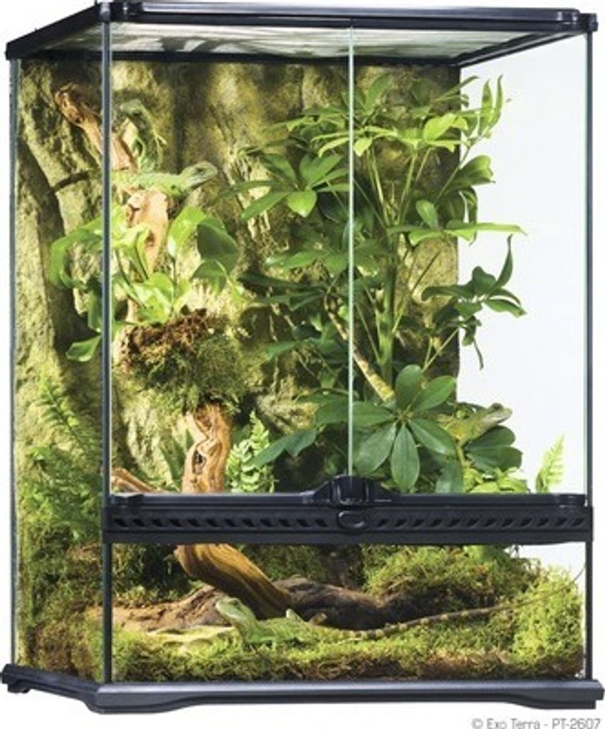 Terrarium, Paludarium Exo Terra 45 x 45 x 60 cm Produktbild 