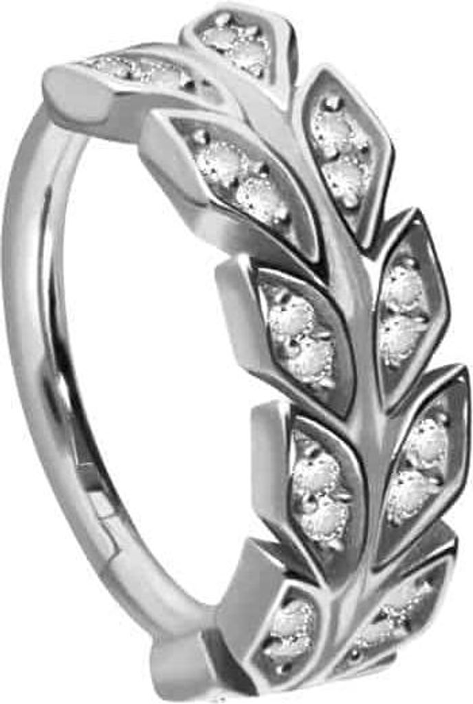 Ohrpiercing, Nasenpiercing, Septum Piercing Chirurgenstahl Segmentring Clicker KRISTALLBLÄTTER Silber Innendurchmesser: 10 mm