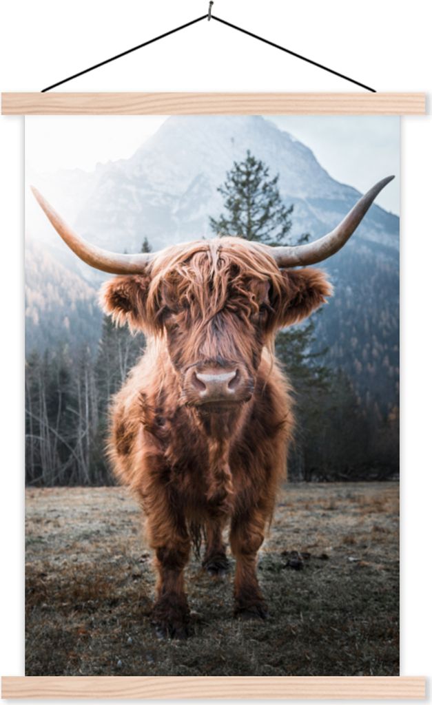 MuchoWow Textilposter Schottische Hochlandrind - Natur - Berge 40x60 cm mit holzfarbenen Rahmen - Poster