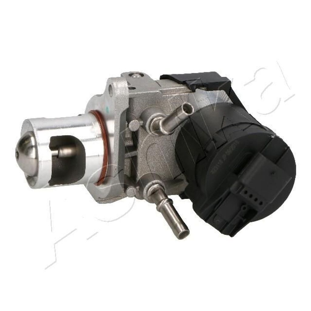 ASHIKA 150-00-0105 AGR-Ventil für BMW 3 Touring (E91) Abgasrückführungsventil