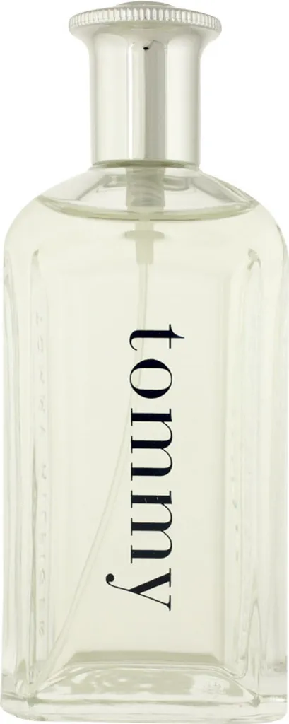 Tommy Hilfiger Men Eau de Toilette 100ml - Senteur Fraîche et Boisée