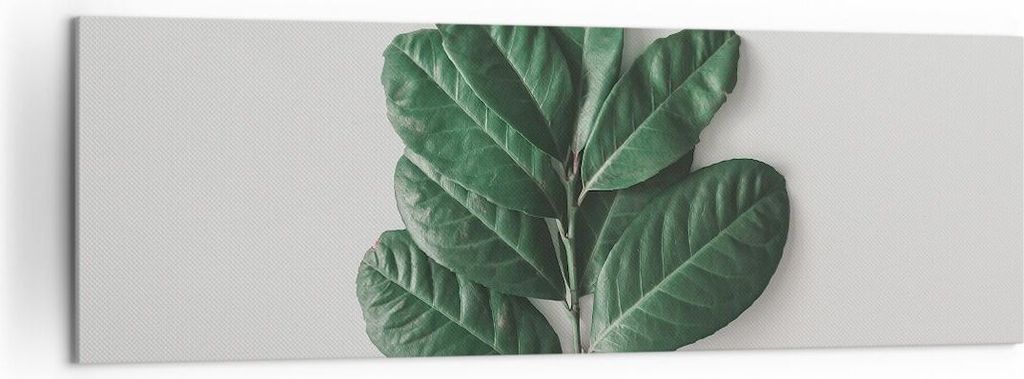 Bild auf Leinwand - Leinwandbild - Einteilig - Blätter Pflanzen Botanik - 160x50cm - Wand Bild - Wanddeko - Wandbilder - Leinwanddruck - Bilder - ...