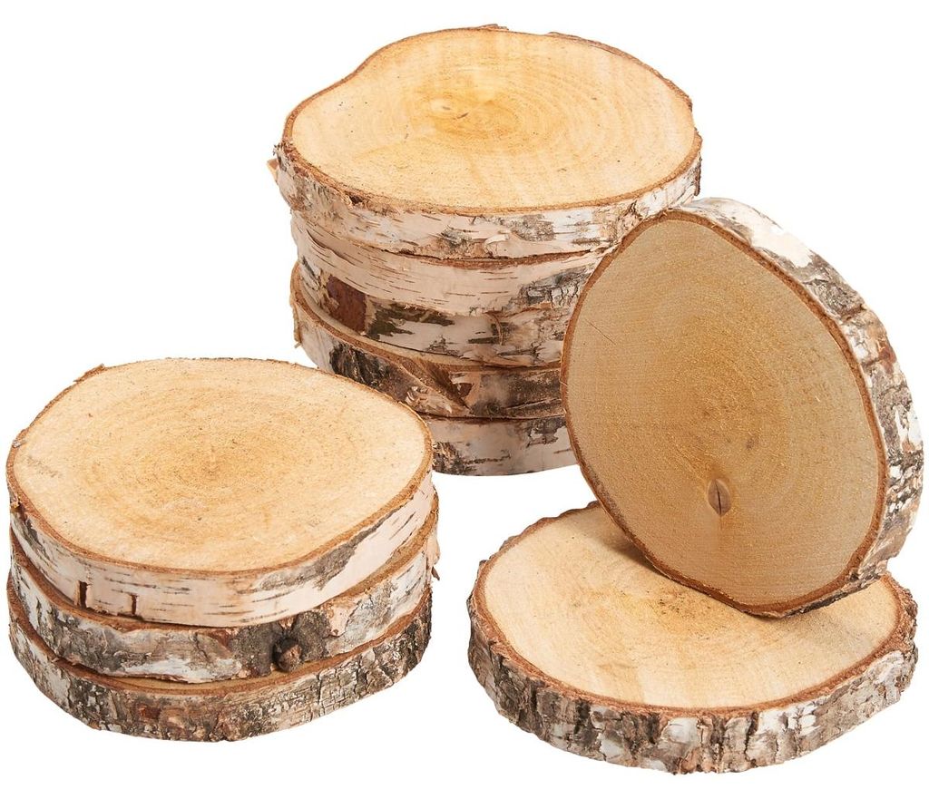 Rondelles d'arbre 10 pcs. Bois de décoration Disques en Image du produit 